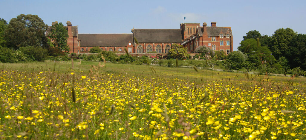 13 Terrace field summer Ardingly